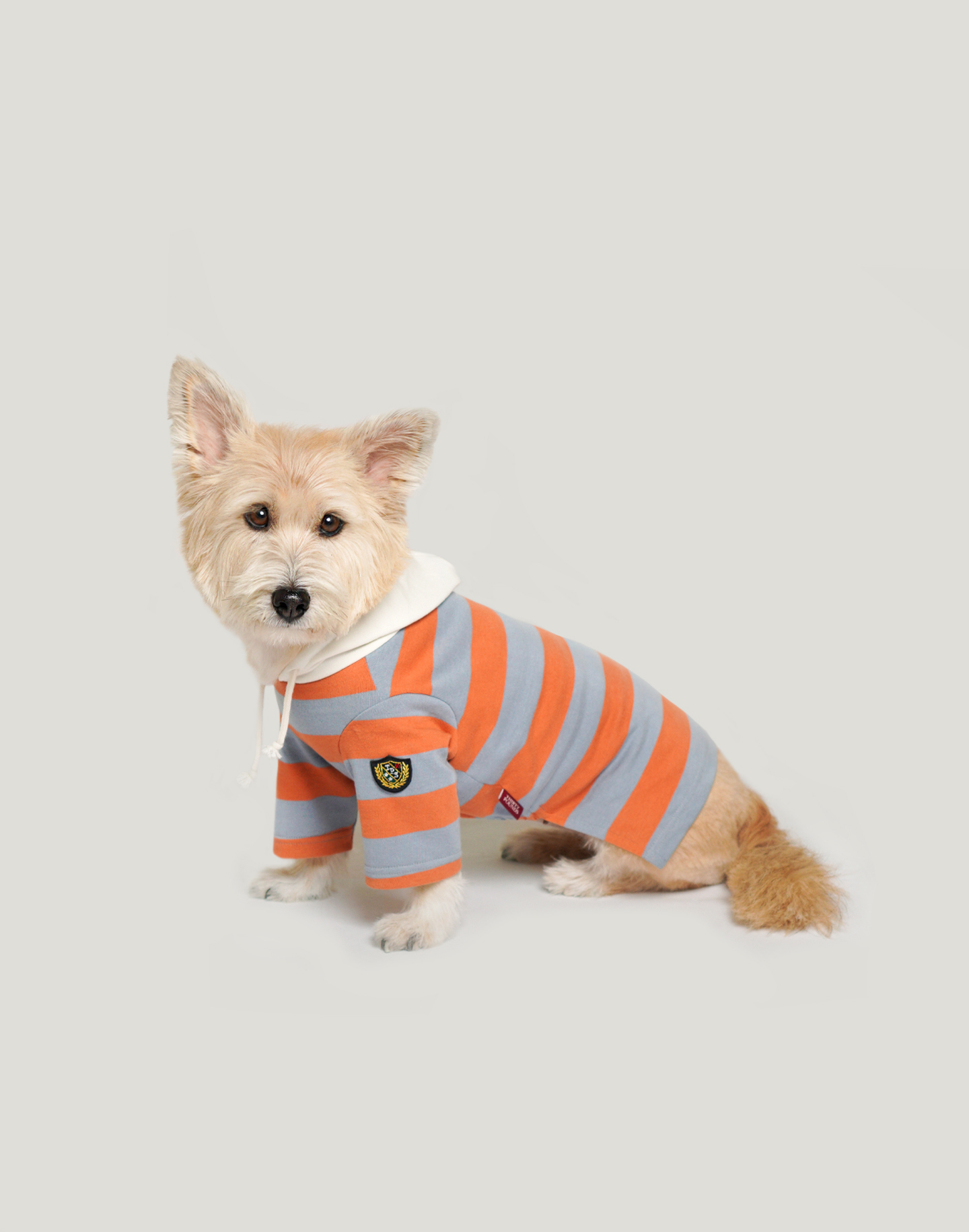Stripe Hoodie (Orange)
